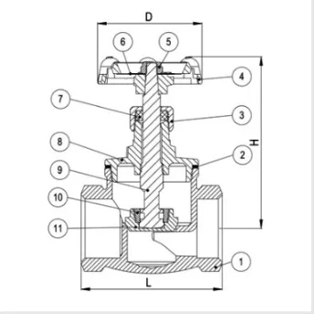 ساختار داخلی شیر سوزنی کیزیران