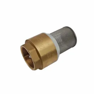 شیر سوپاپی 2 اینچ کیزیران