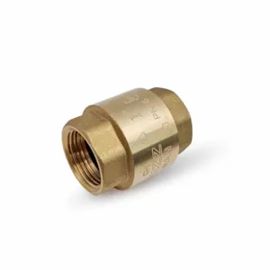 شیر یکطرفه فنری 1 اینچ کیزیران