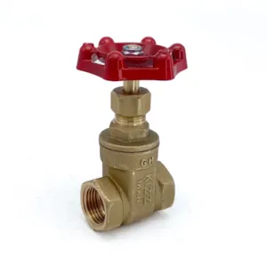 شیر فلکه کشویی 1/2 اینچ کیزایران