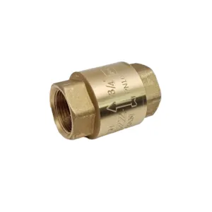 شیر یکطرفه فنری 3/4 اینچ کیزیران