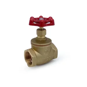 شیر سوزنی 1 اینچ کیزیران